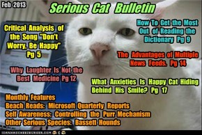 Serious Cat Bulletin  Feb 2013