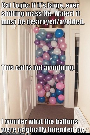 Cat Logic: If it's large, ever shifting mass (Ie. Water) it must be destroyed/avoided. This cat is not avoididng. I wonder what the ballons were originally intended for.