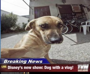 Breaking News - Disney's new show: Dog with a vlog!