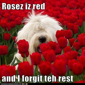 Rosez iz red  and I forgit teh rest