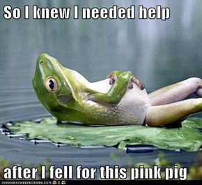 So I knew I needed help  after I fell for this pink pig