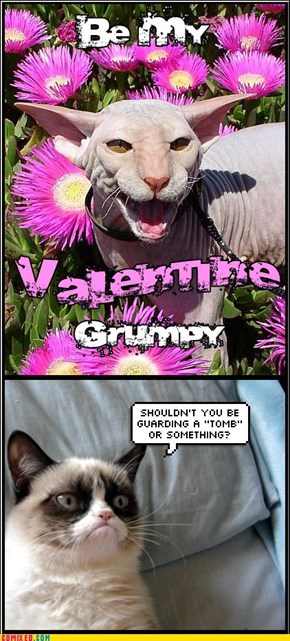 Be My Valentine?