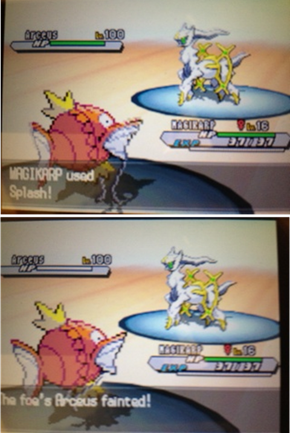 I Knew You Could Do It, Magikarp!