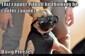 Thiz rapper Pitbull he thinking he cooler zan mez  Dawg Pleeze!