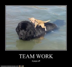 TEAM WORK