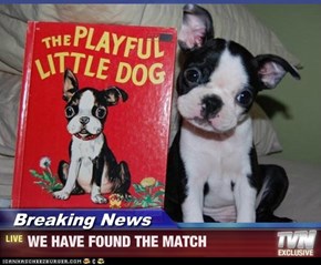 Breaking News - WE HAVE FOUND THE MATCH
