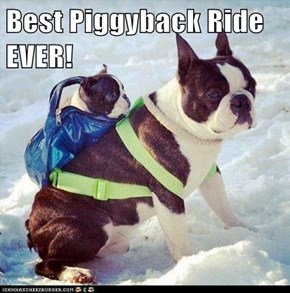 Best Piggyback Ride EVER!