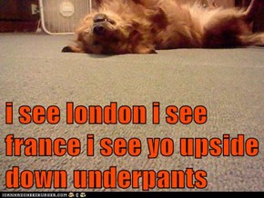 i see london i see france i see yo upside down underpants