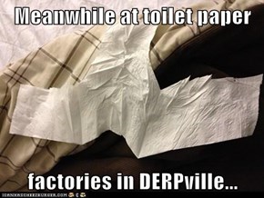 Meanwhile at toilet paper   factories in DERPville...