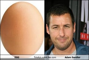 EGG Totally Looks Like Adam Sandler