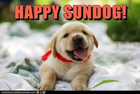 Happy Sundog! 