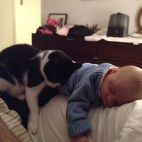 Nap Time!