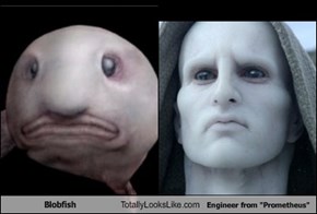 Blobfish Totally Looks Like Engineer from "Prometheus"