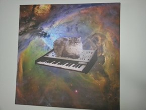 Keyboard Cat, in Space!