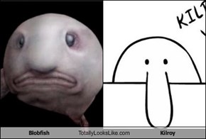 Blobfish Totally Looks Like Kilroy