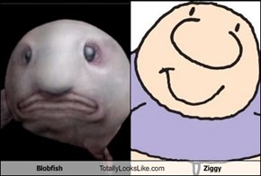 Blobfish Totally Looks Like Ziggy