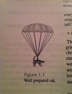 Well Prepared Cat