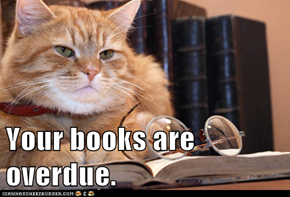 Librarian Cat is Not Amused