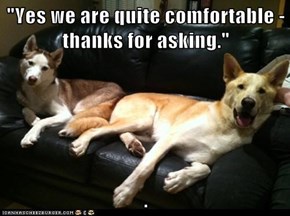 "Yes we are quite comfortable - thanks for asking."  .