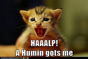 HAAALP!                                                     A Humin gots me