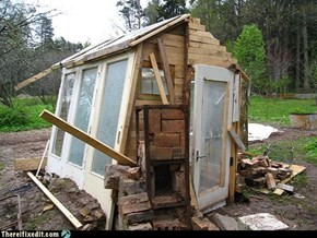 Buy a Shed? No Way!