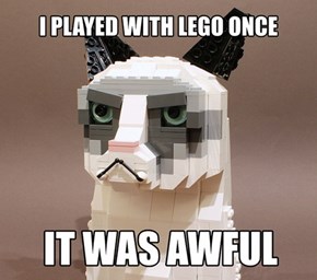 Tardar, Did You Get in the Lego Again?