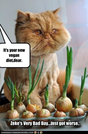 It's your new vegan diet,dear.