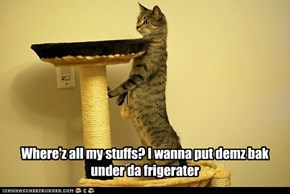 Where'z all my stuffs? I wanna put demz bak under da frigerater