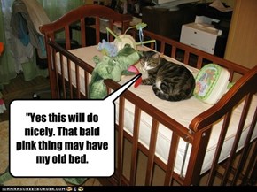 "Yes this will do nicely. That bald pink thing may have my old bed.