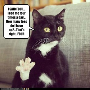 I SAID FOUR... Feed me four times a day... How many toes do I have up?...That's right...FOUR