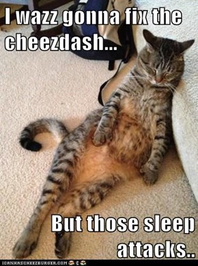 I wazz gonna fix the cheezdash...  But those sleep attacks..