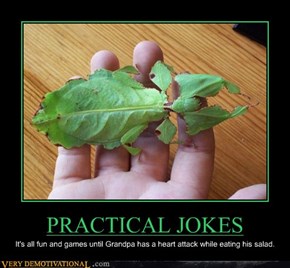 PRACTICAL JOKES