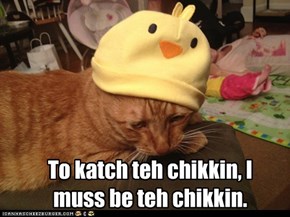 To katch teh chikkin, I  muss be teh chikkin.