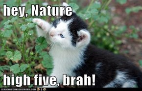 hey, Nature  high five, brah!
