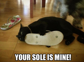 Mmm... Sandal
