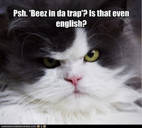 Psh. 'Beez in da trap'? Is that even english?