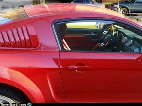 Top Priority - Auto Security