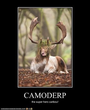 CAMODERP