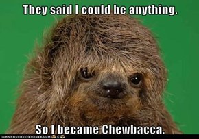 They Said I Could Be Anything...