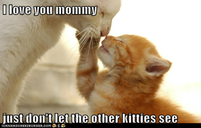 Even Kittens Go Through That Stage