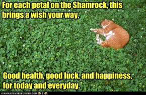 Beannachta na File Pdraig ort! Hapee  St. Patrix Dae To All Mah Cheezpeepz! Lubs, frum Razuli