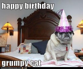 happy birthday  grumpy cat