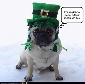 Happy Saint Patrick's Day.