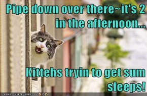 It's Time for Our Cat Naps!