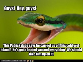 And thus, St. Patrick drove the snakes out of Ireland.  Happy St. Patrick's Day!