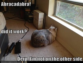 Abracadabra! did it work? Derp. I'm not on the other side