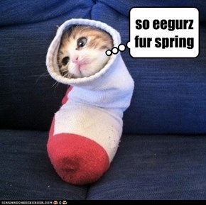 so eegurz fur spring