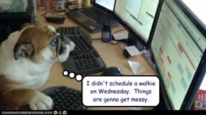 I didn't schedule a walkie on Wednesday.  Things are gonna get messy.