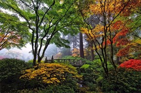 The Colorful Japanese Gardens in Portland, Oregon