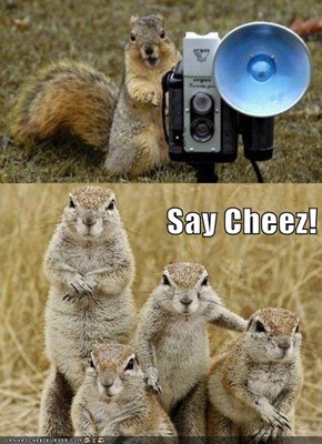 Say Cheez!